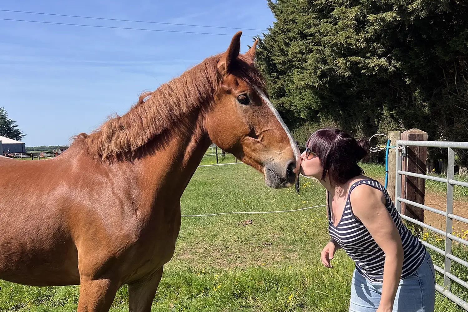 The Reality of Owning a Horse in Your 30s, 40s and Beyond