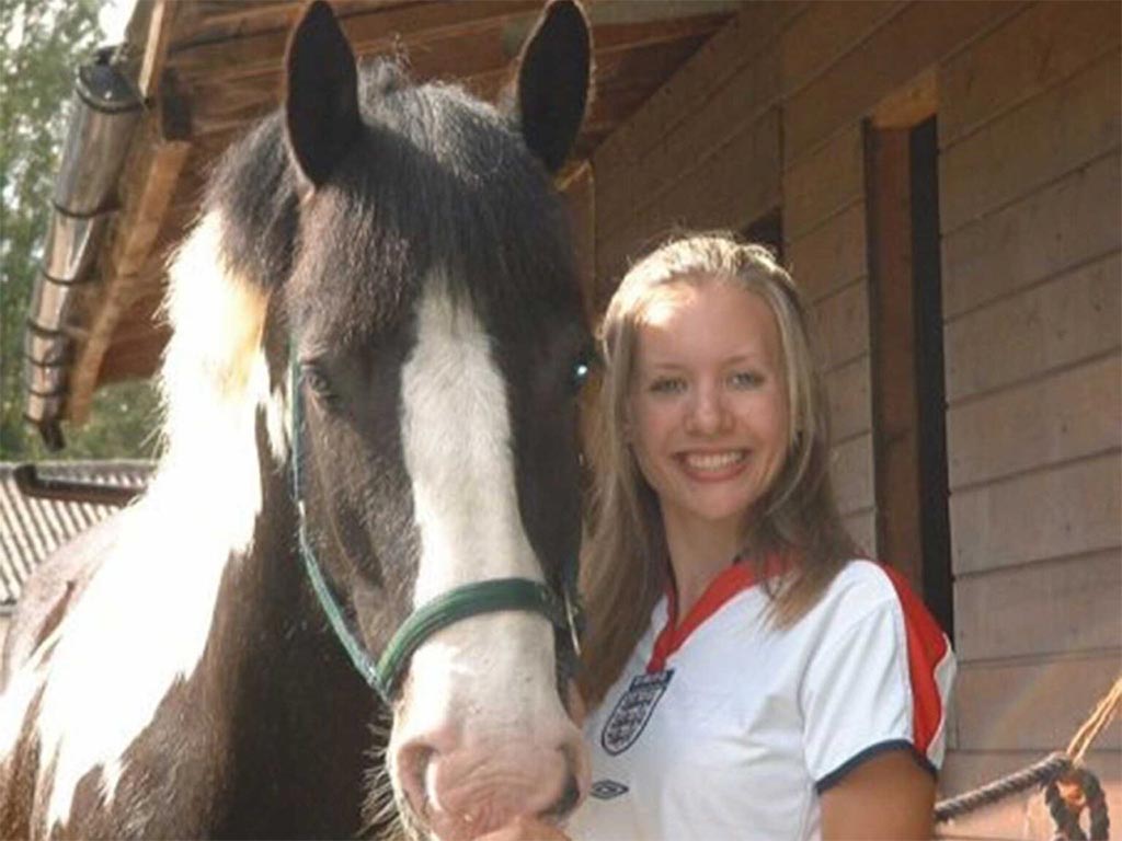 What to Ask When Buying a Horse?