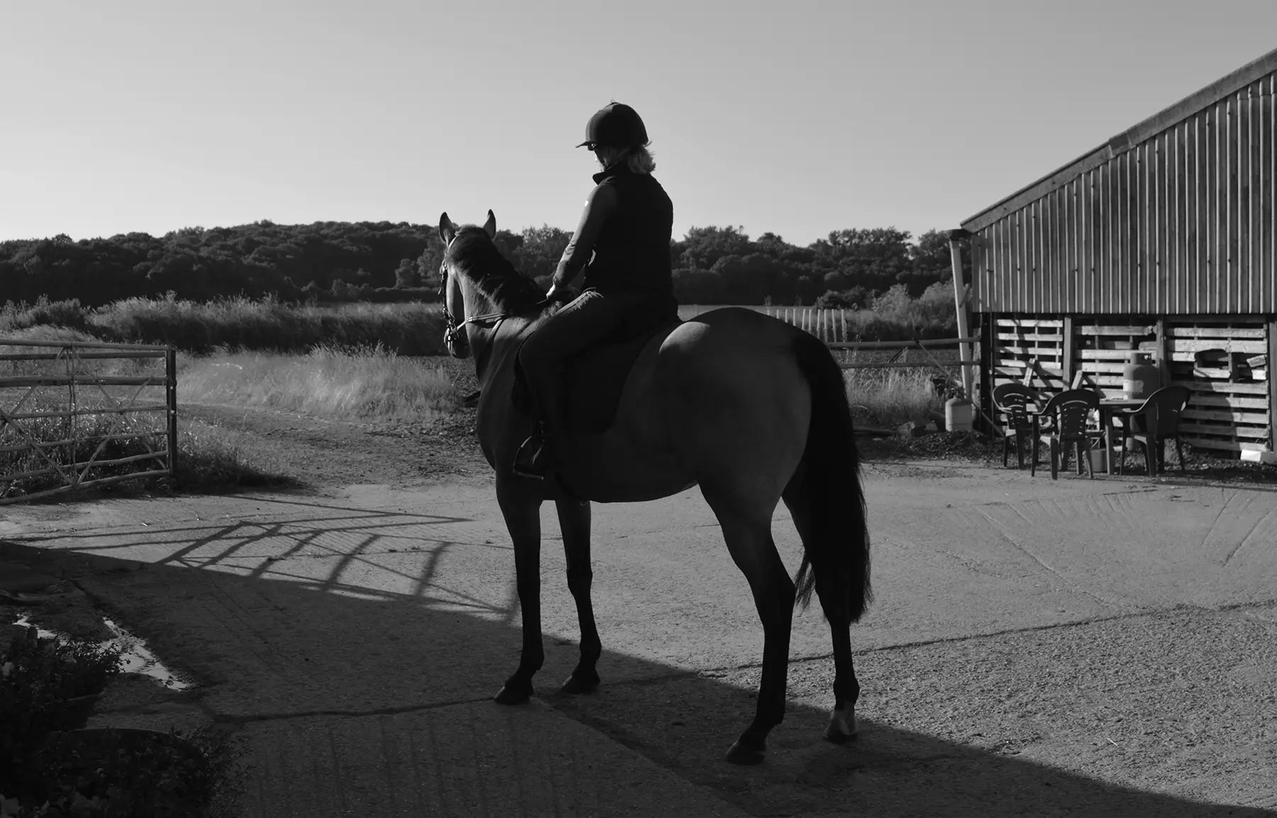 How to Pick the Perfect Horse Gift If You Know Nothing About Horses!