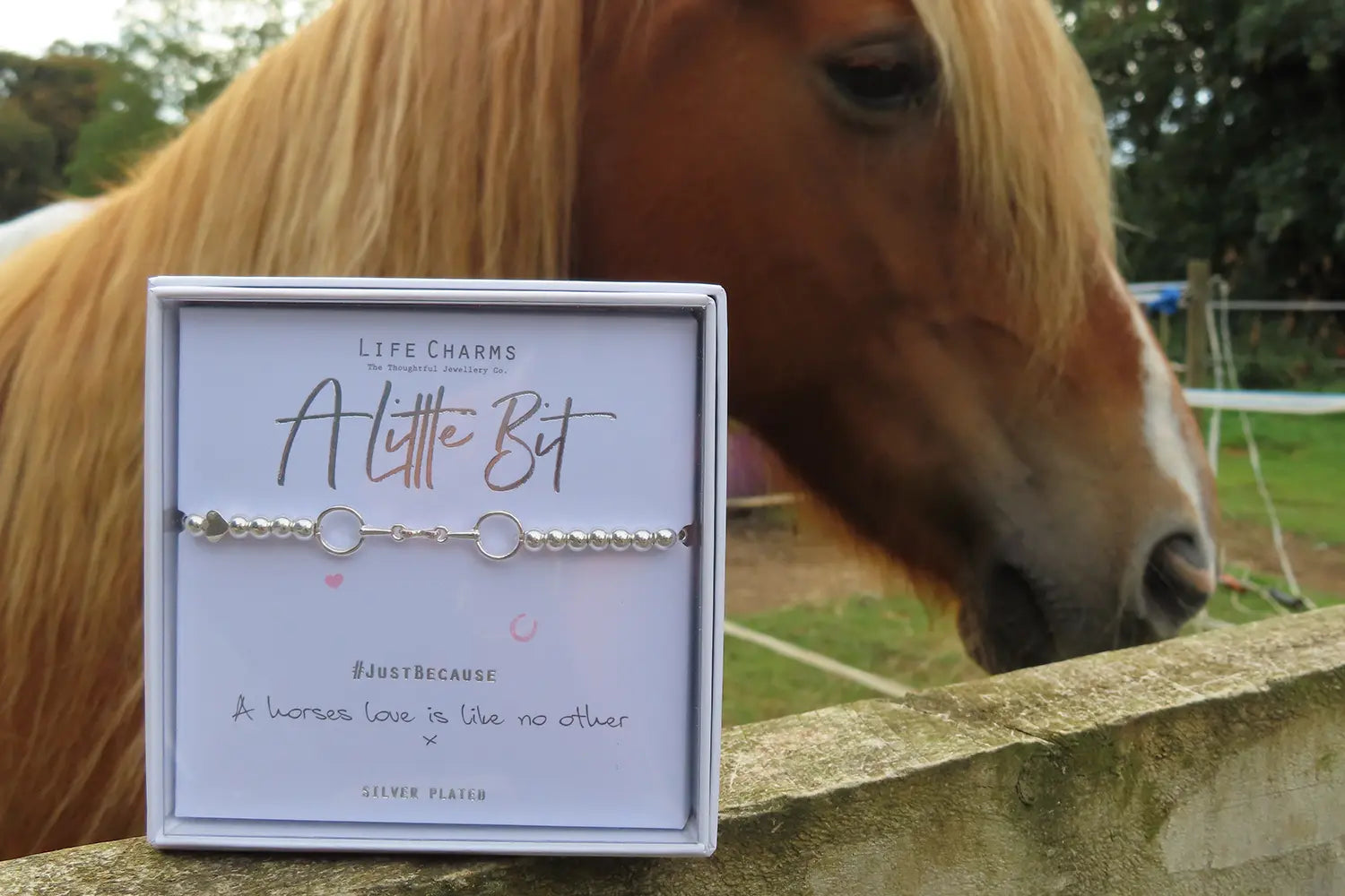 10 Thoughtful Gift Ideas a Horse Owner Will Love