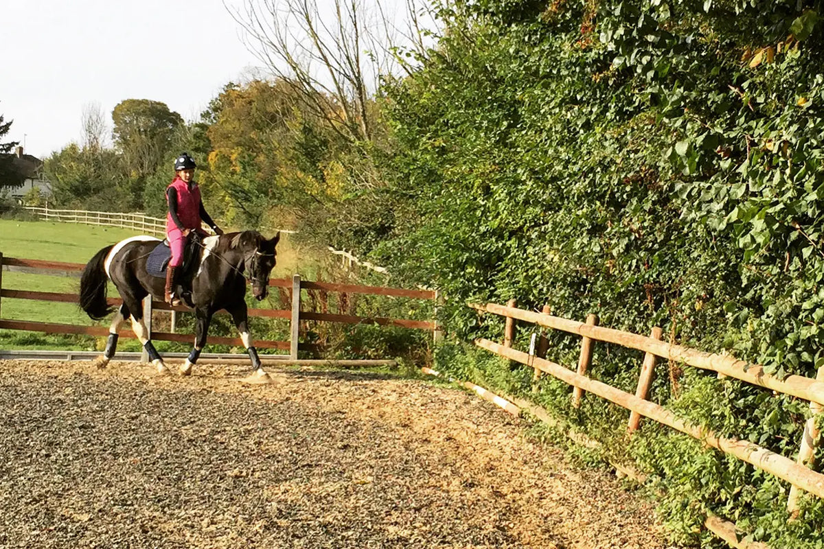 An Equestrian's Guide to Surviving the Darker Evenings