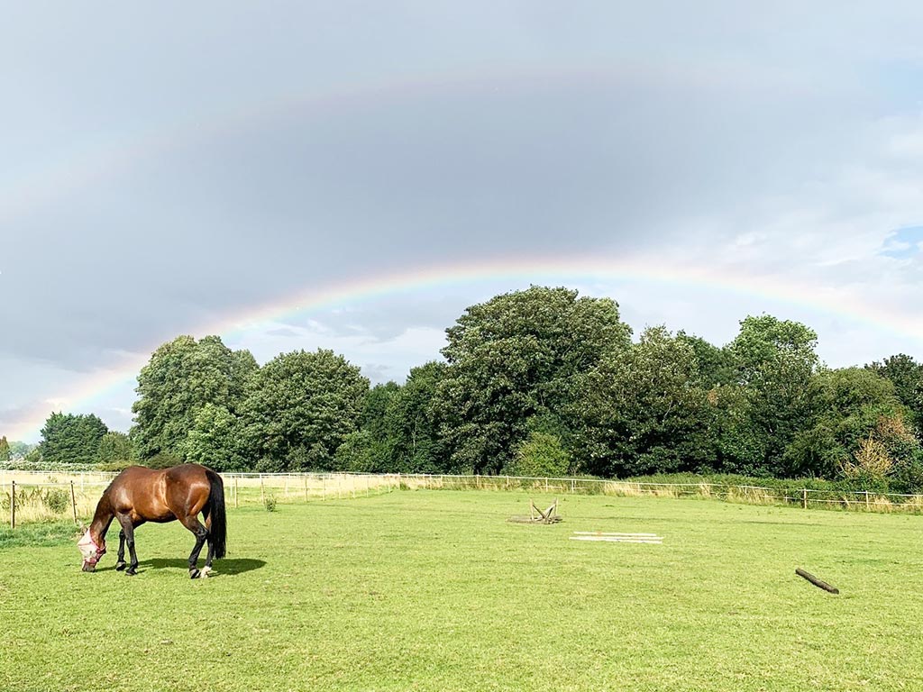 10 Ways to Be an Eco Friendly Horse Owner