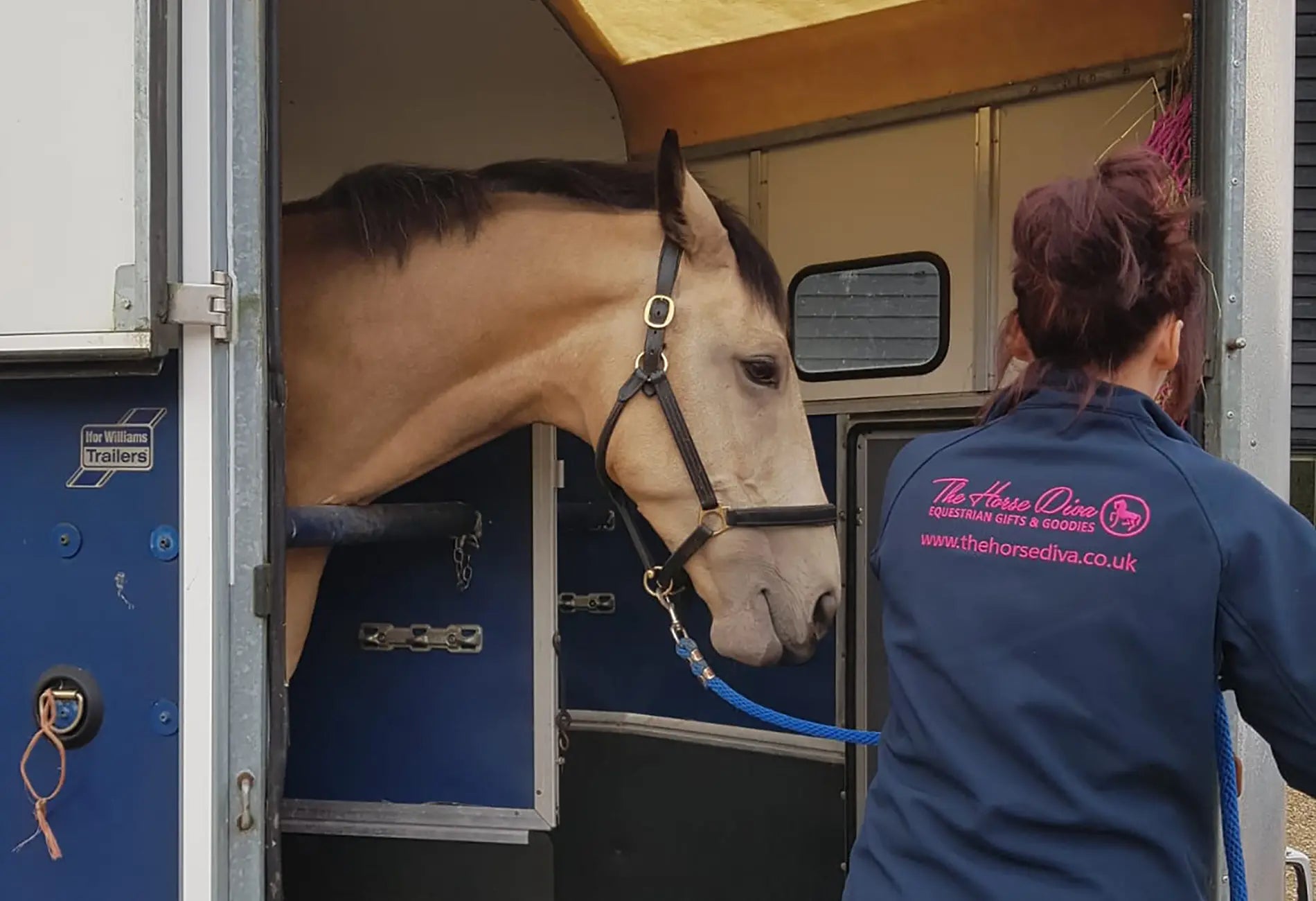 Checklist of Equipment for First Time Horse Owners!