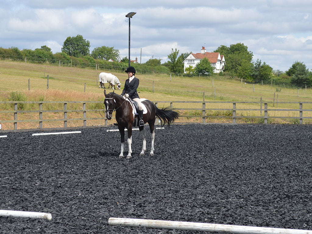 9 Things a Non Equestrian Might Say to Make You Laugh…or Cry!