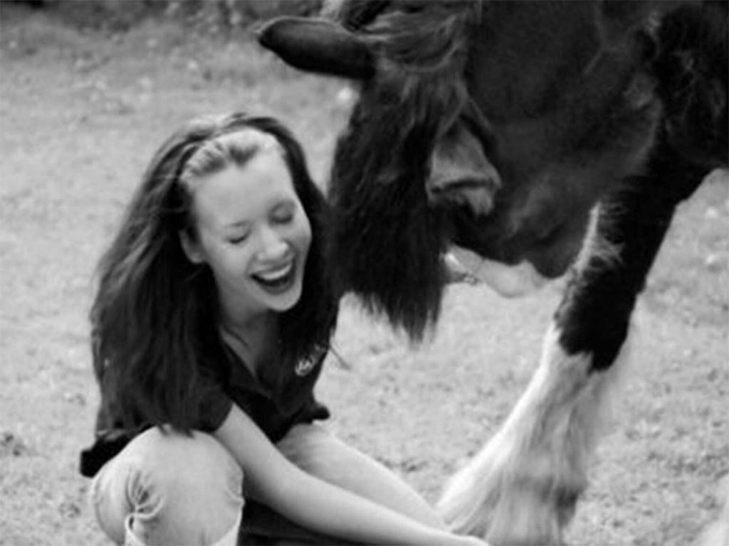 10 Things You Wish You’d Known Before Buying a Horse…