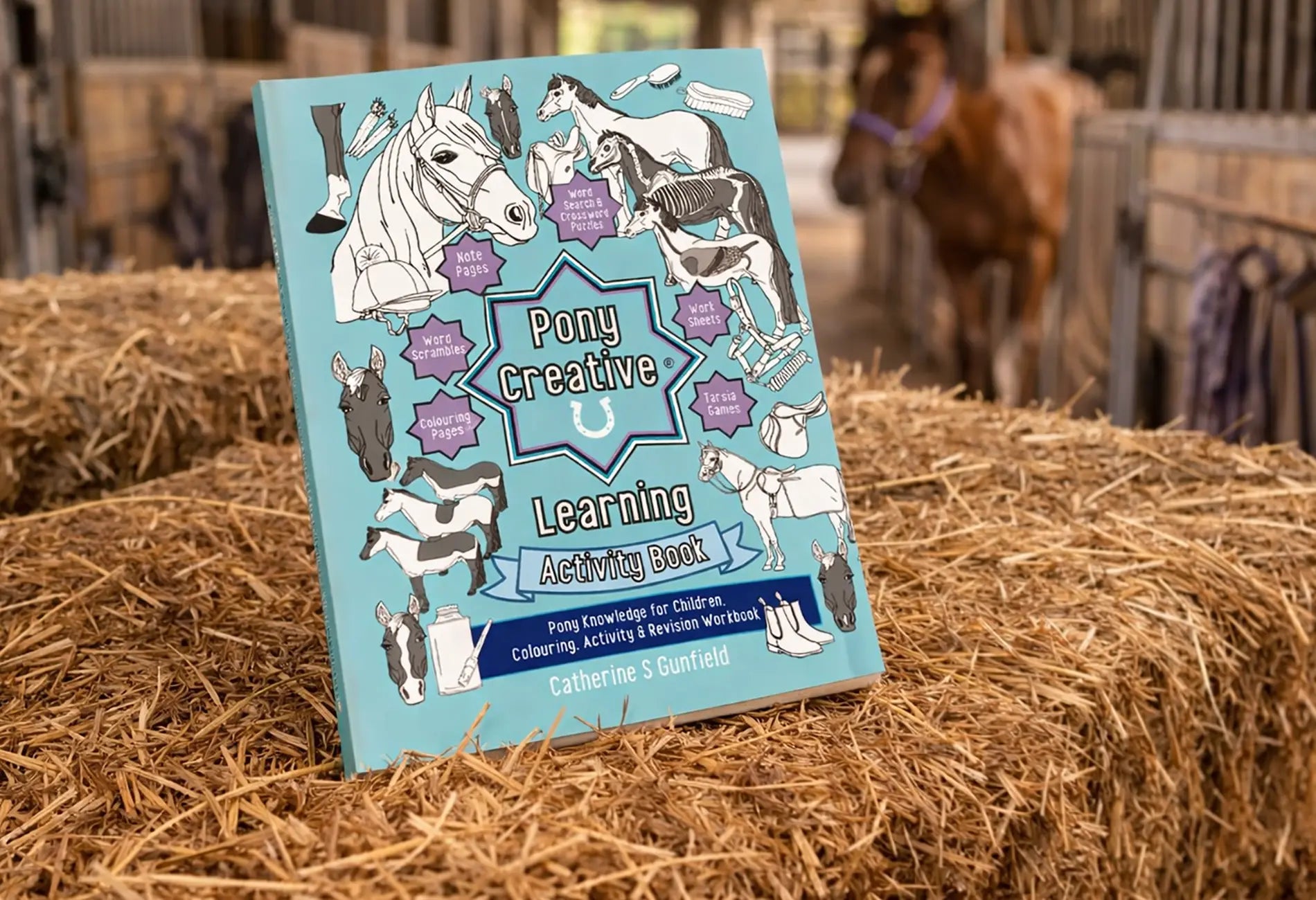 Boys Horse Gifts