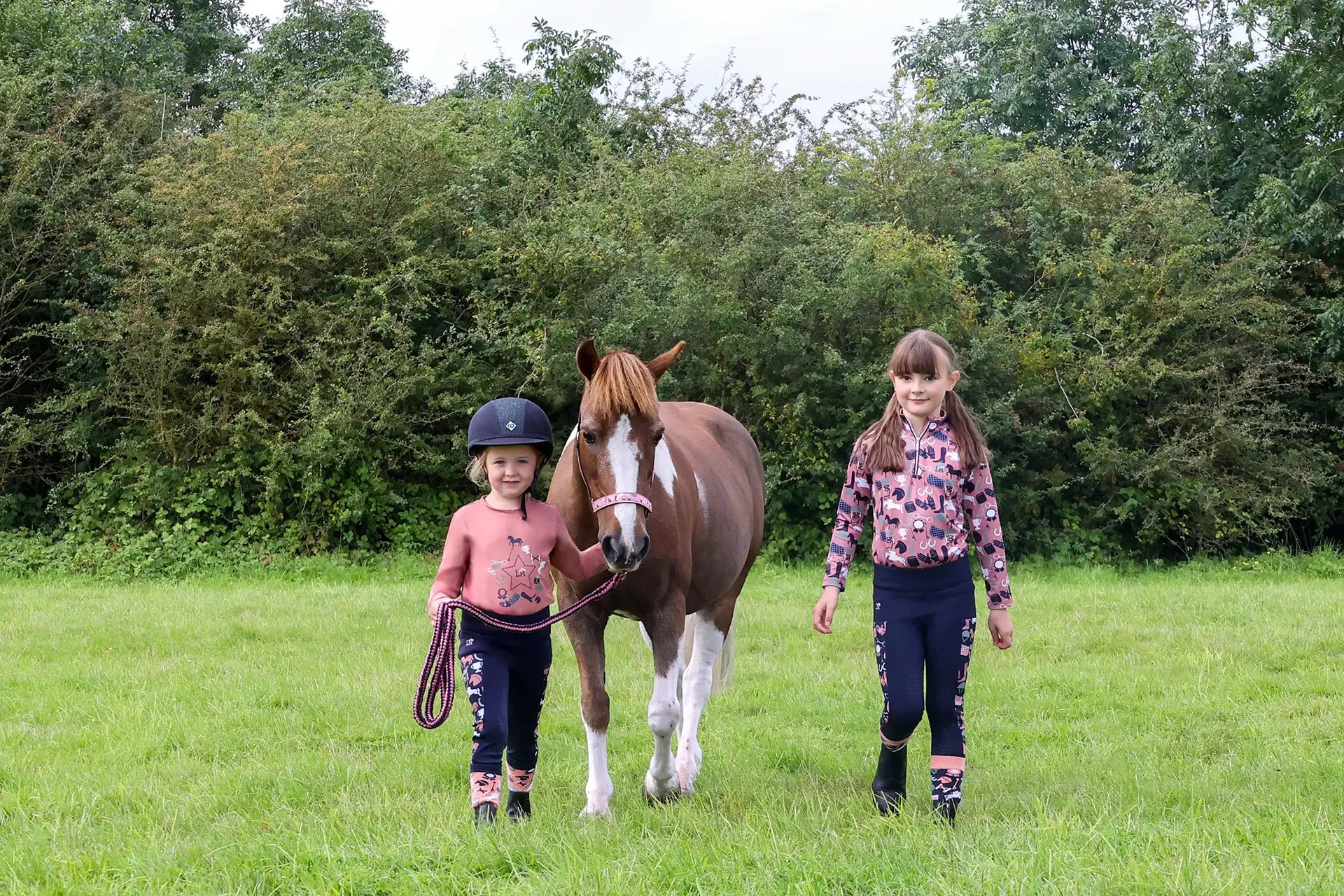 Hy Equestrian Range - The Horse Diva