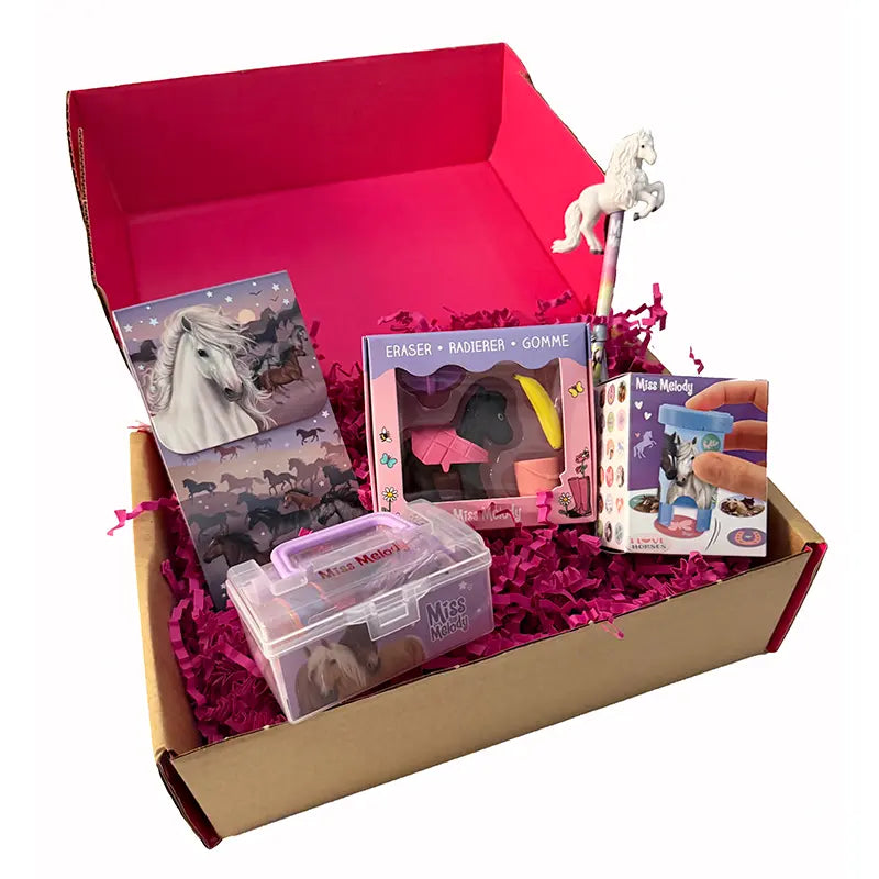 Pony Lovers Stationery Gift Box