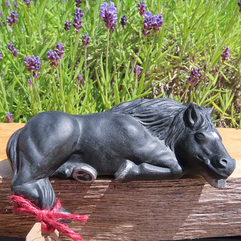Black Horse Shelfie