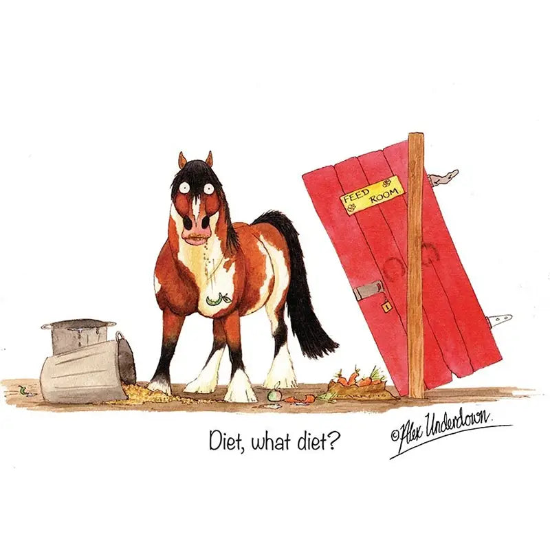 Diet, What Diet Greetings Card - Alex Underdown
