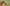 Promotion banner