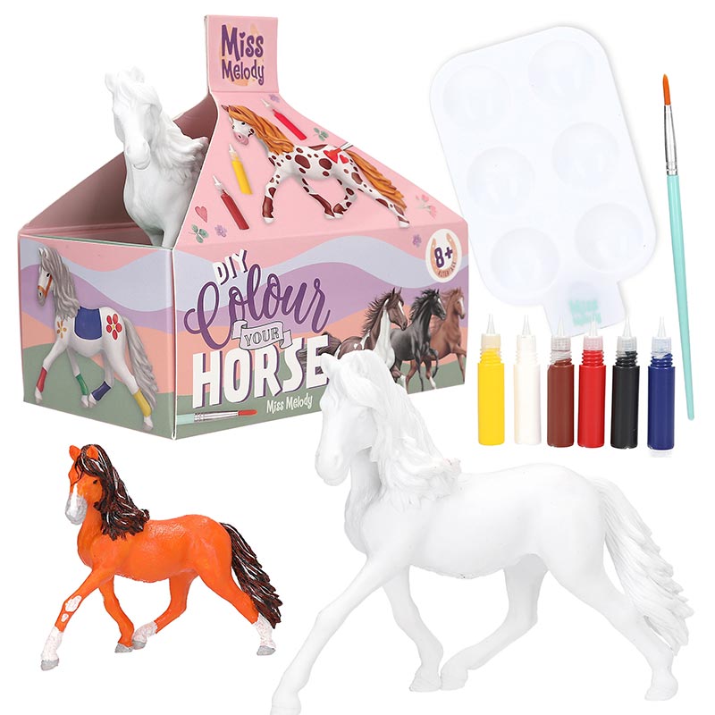 Miss Melody DIY Colour Your Horse