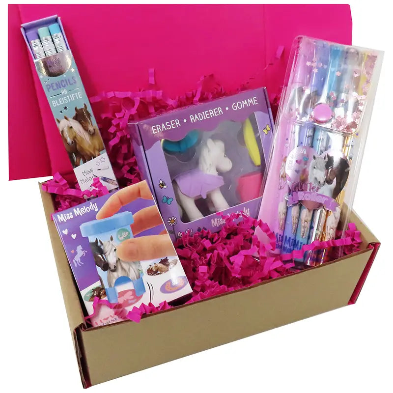 Pony Lovers Stationery Box 